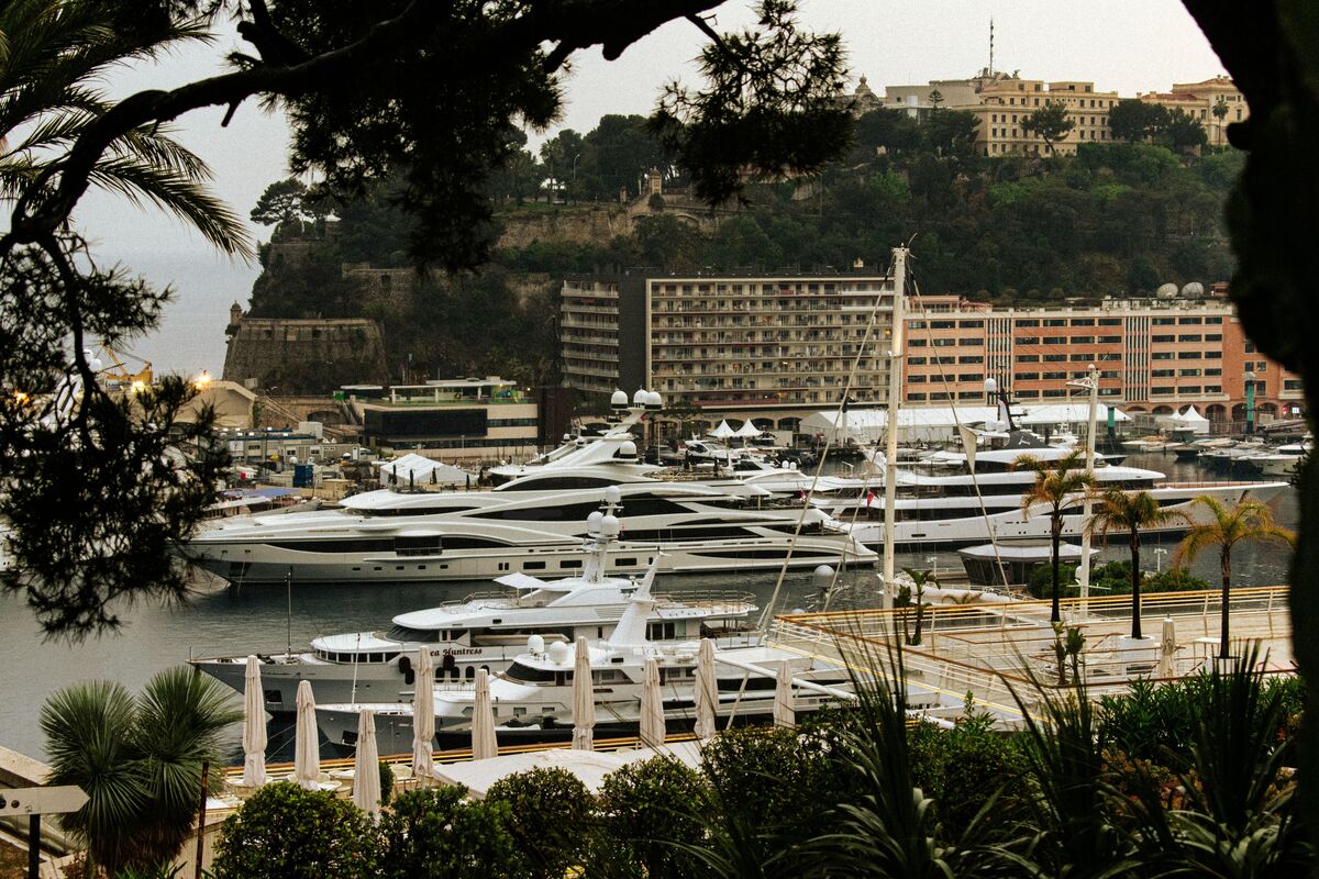 Yachts in the port of Monaco, seen from above through the pines